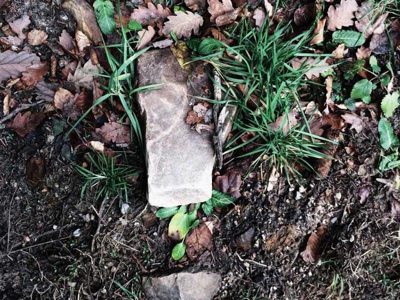 BuildMaster Építő Kft. - Kép