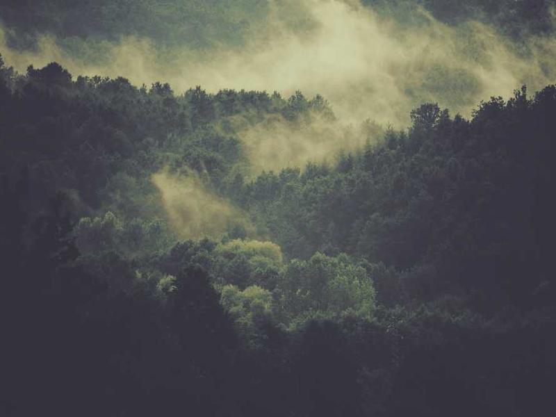 GourmetCatering - Kép