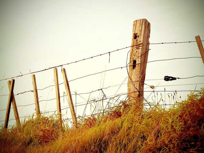 ITForce Hungary - Kép